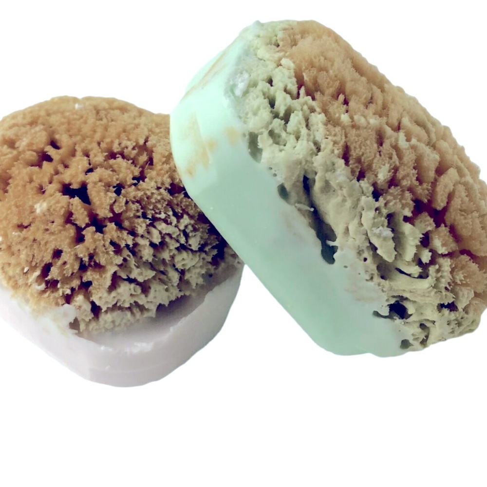 Lola&Fiona co. All natural soap n sponge